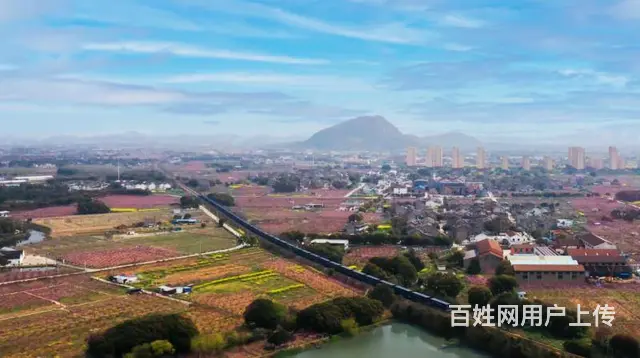 冬季到湖畔来看鱼… - 图片 3