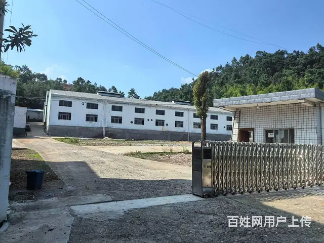 (房东直租)白若铺319国道旁4200平园区厂房出租，可分租 - 图片 1