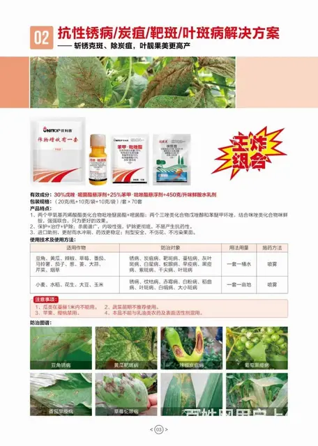 豆角黄瓜辣椒抗性锈病炭疽病靶斑病解决方案 - 图片 2