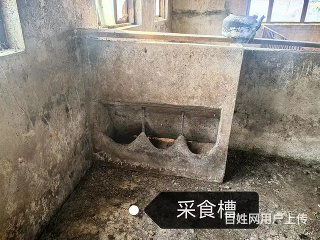 猪舍/养猪场/养殖场/出售 - 图片 8
