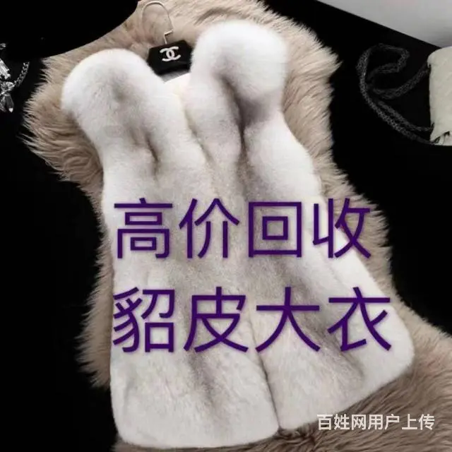 辽阳回收貂皮服装 - 图片