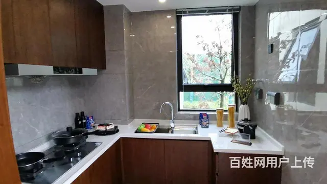 凯迪铂悦府市政府旁高端品质双吾悦广场轻轨站点首付低户型漂亮 - 图片 7