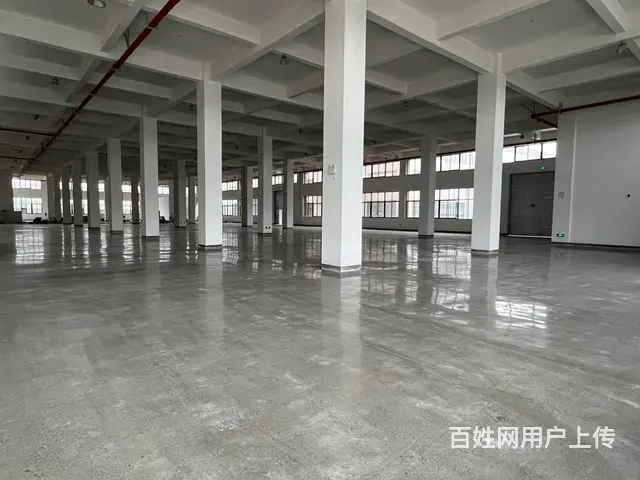 出租新建标准厂房4层12000平方可分租 - 图片 3