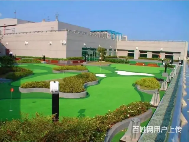 专业冲砂人造高尔夫果岭  人造果岭 仿真果岭 - 图片 4