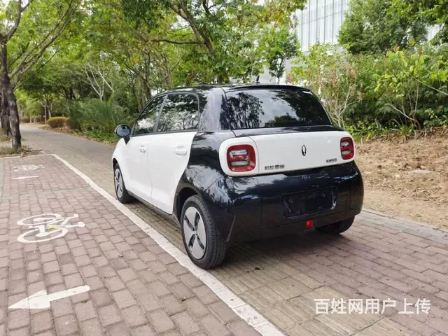 欧拉黑猫 - 图片 1