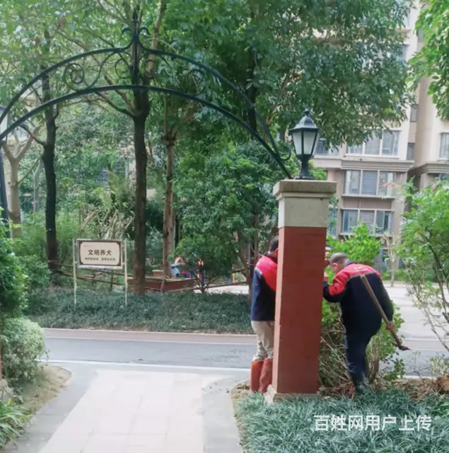 防城港放心的管道掉压测漏价格合理 - 图片 1