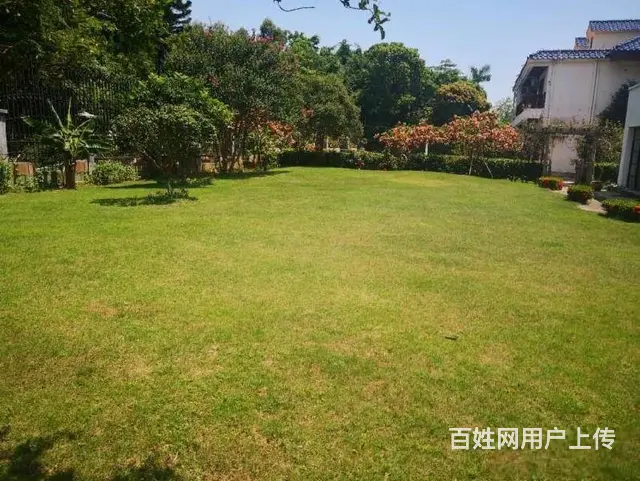 金鼎私房！别墅2600万元高尔夫山庄别墅精装修 - 图片 8