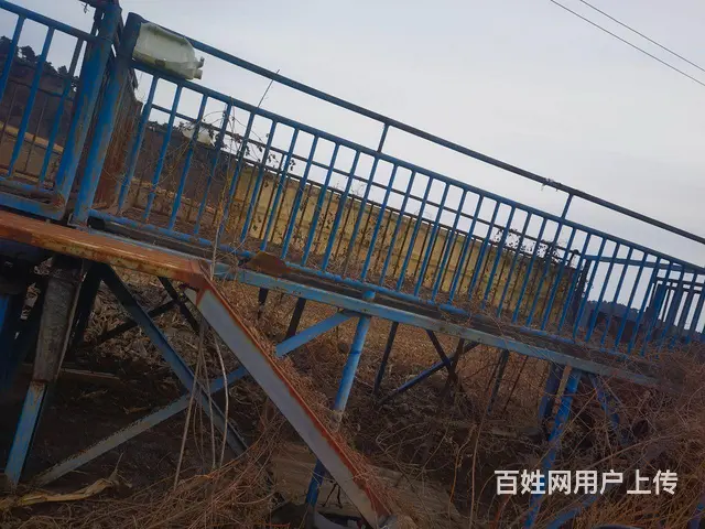 卖猪中转站 - 图片 8