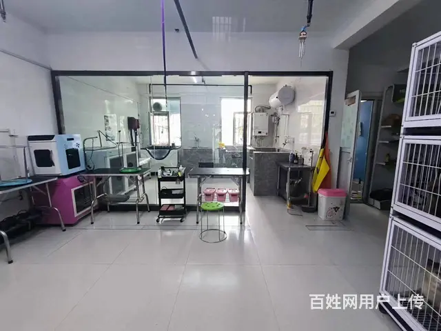 B个人一新市区160平宠物店对外转让 - 图片 2