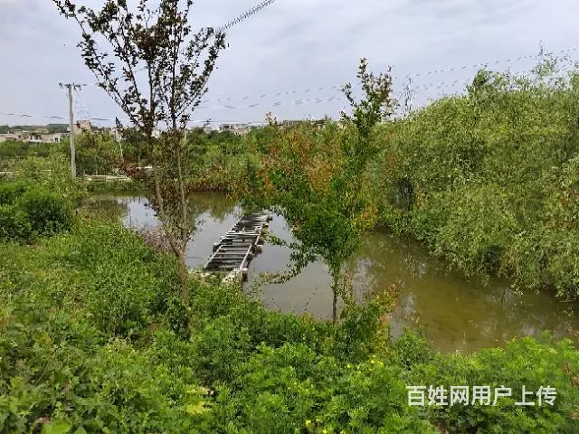 毗邻水库五亩庄园出租 - 图片 4