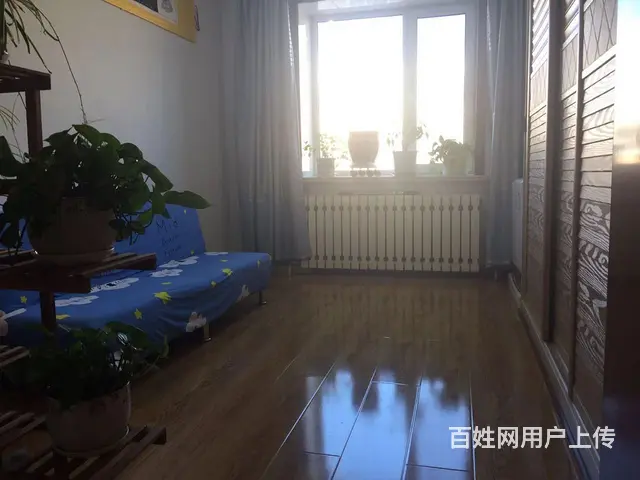 楼房急卖 - 图片 8
