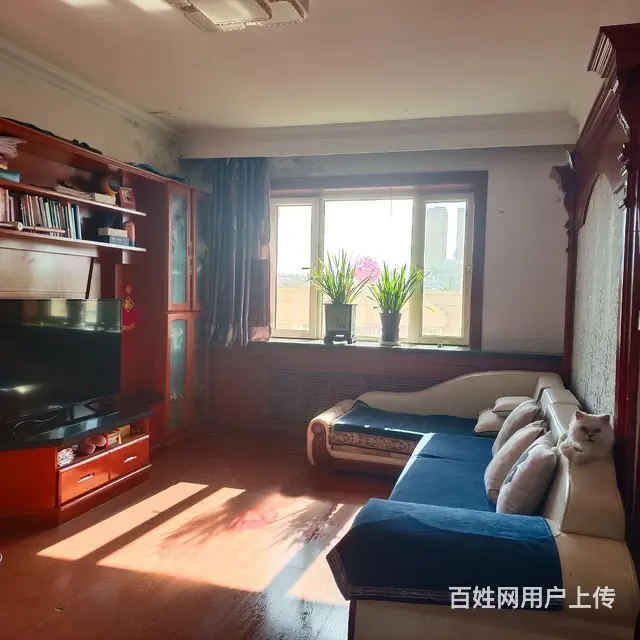 28委成龙小区多选学区，满五，空学籍 - 图片 2