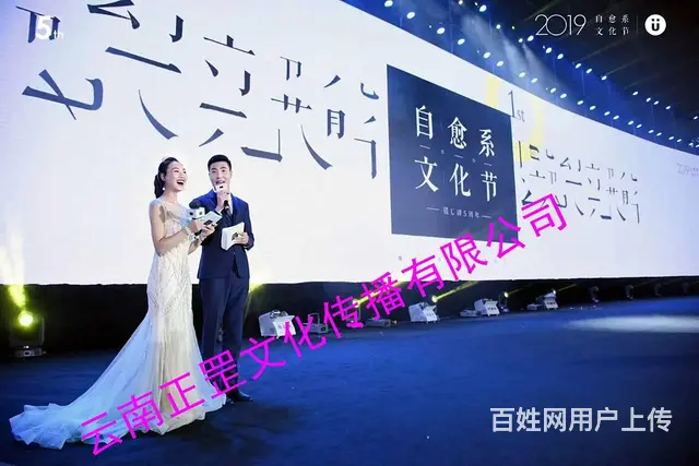 活动策划、舞美搭建、灯光音响、LED屏、桌椅、演出 - 图片 11