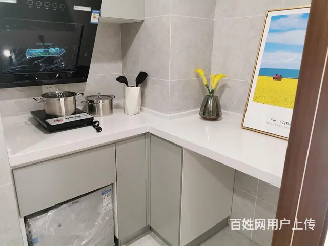 捡漏价渠道滁州公寓星荟城轻轨站复式双层通燃气 - 图片 7