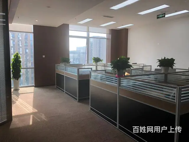 世纪城天府二街雄川金融中心300平 甲级纯写丨接待办公室 - 图片 2