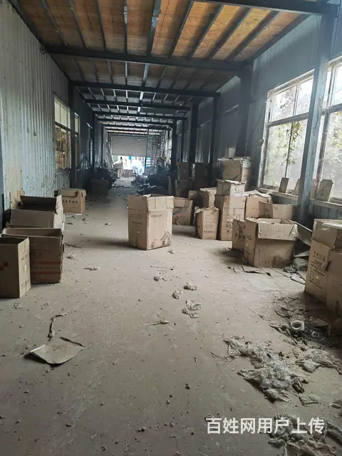 【都市时讯 优选推介】东海大道与大庆路口厂房仓库出租 - 图片 2