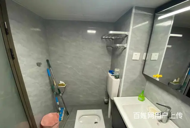 龙湖铂金岛 公寓1厅 精装修 - 图片 4