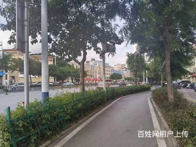 （51旺铺推荐）亚龙湾800平整栋房子出租或出售 - 图片 4