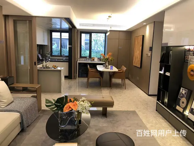 找我优惠急售恐龙园旁首付2万复试挑高现房公寓民用水电一手直签 - 图片 4