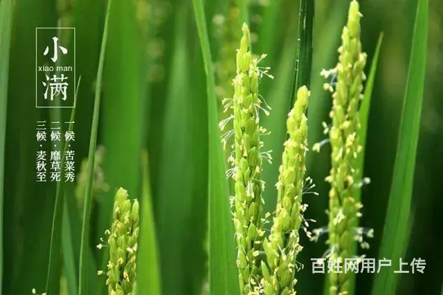 代发律师函 - 图片 1