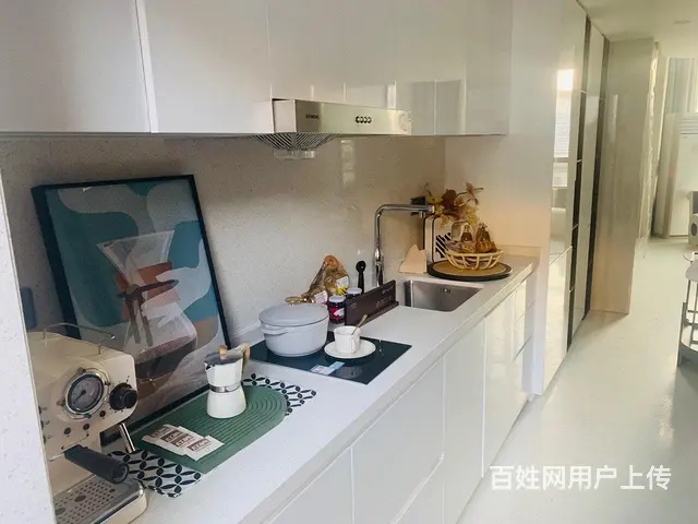 璞樾春秋挑高复式 售楼处直签 价格优惠 南北通透 民用水电 - 图片 7