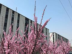 全款106万买400平临街大产权厂房