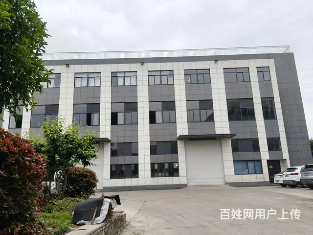 临安锦城街道单层1000方/2000方标准厂房出租 - 图片 3