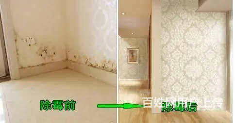 广州上门除霉公司，越秀区正规除发霉，办公室除霉服务 - 图片 1