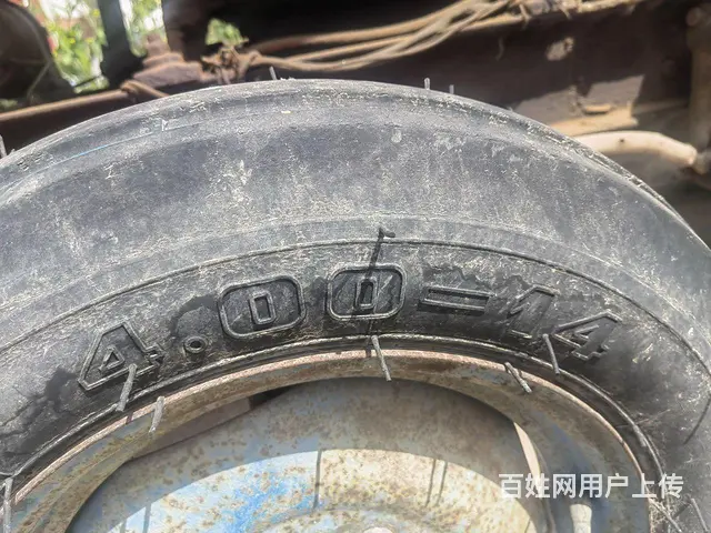 东方红 - 图片 4