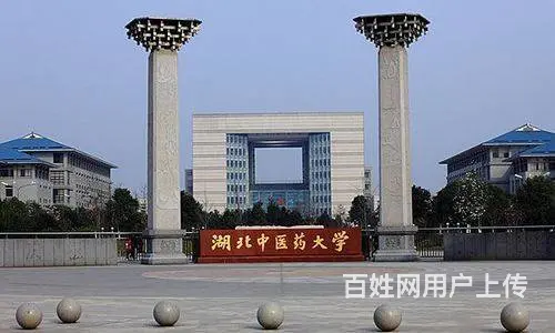 湖北中医药大学继续教育成人高考函授专科本科报名招生 - 图片