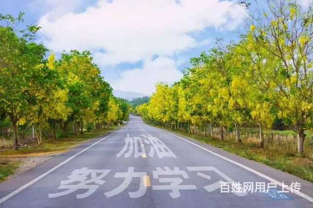 附近草图大师和酷家乐培训学习班 - 图片
