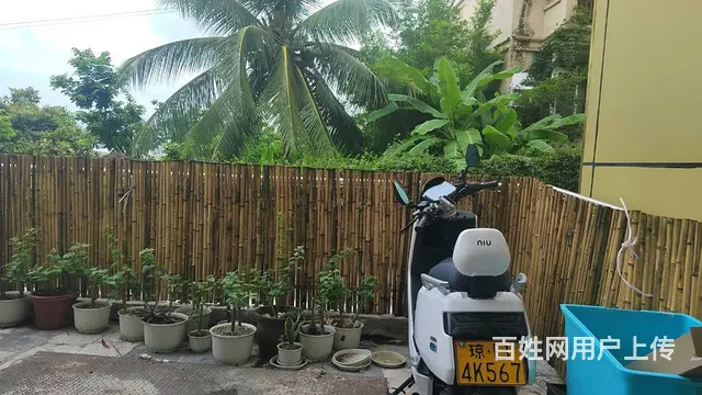 （51旺铺推荐）大真岭50平空铺出租 - 图片 10