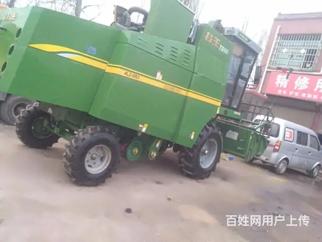 谷王 - 图片 2