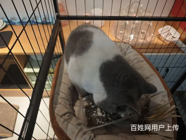 需要的可以联系我 - 图片 5