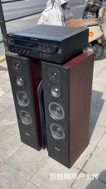 丹麦原装进口至尊XL170三分频双6.5寸发烧音箱 - 图片 3