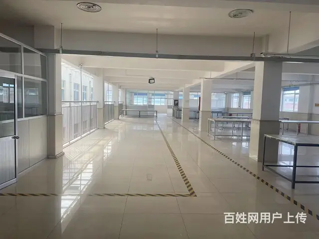 （房东直租）张村魏桥电厂附近框架结构厂房出租 - 图片 6