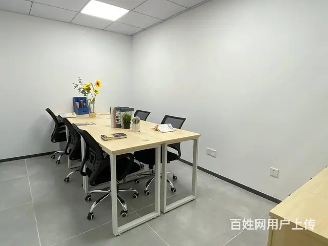 全国连锁品牌保证|代办执照+代理记账一条龙服务 - 图片 1