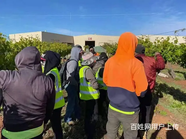 香港工地招大陆工人信号工安全员工资高月薪3万 - 图片 9
