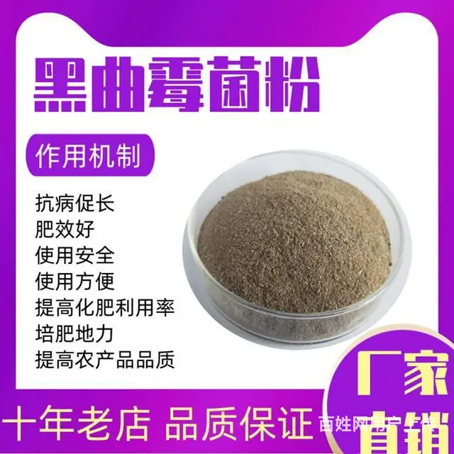 黑曲霉菌粉的使用方法和产品优势 - 图片 1
