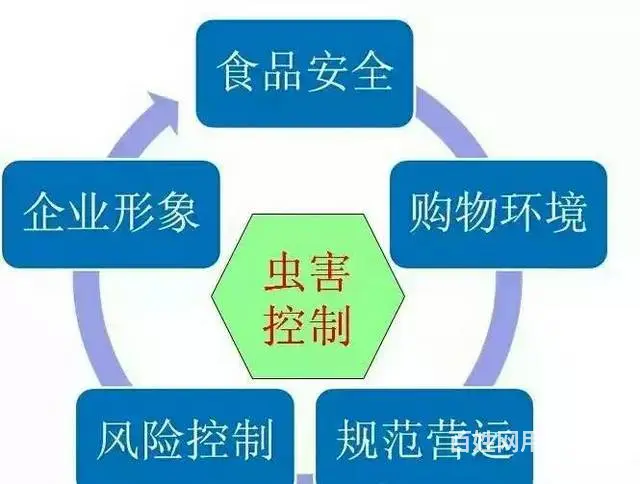 专业防治各种害虫灭鼠灭螂灭蝇灭蚊，一次付费一年无忧 - 图片 2