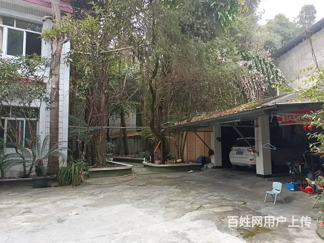 XSY温江进出方便库房出租不限业态 - 图片 2