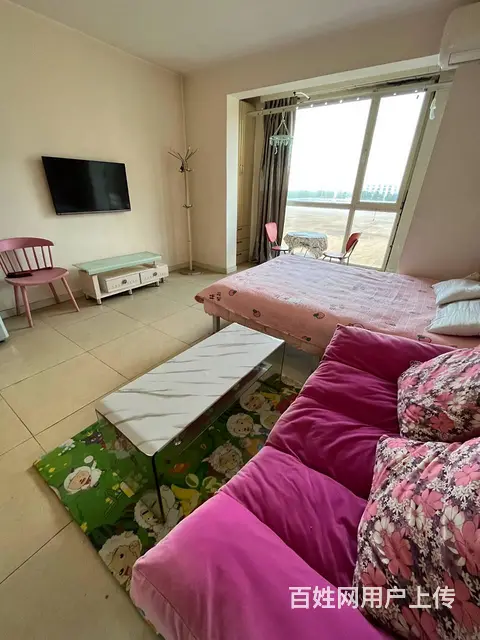 丽都新城(铁西)(铁西) 普通住宅1厅 精装修 - 图片 5