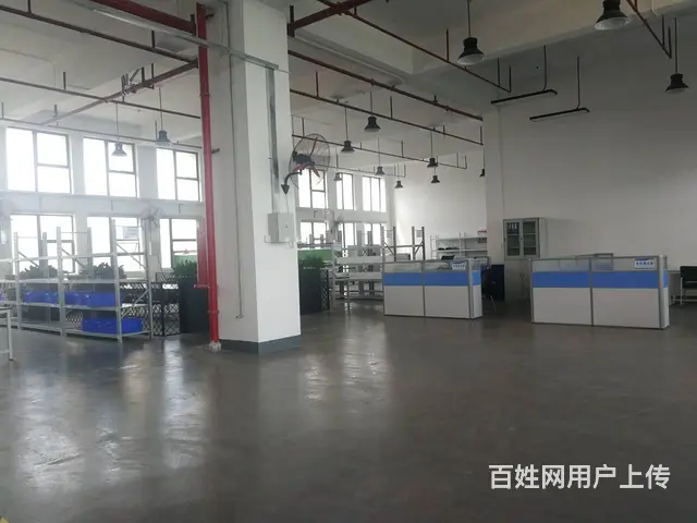 南屏屏西路独门、独院厂房 - 图片 4