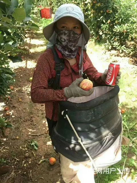 正规出国劳务（意大利年薪30万）工种多/技工普工 - 图片 5