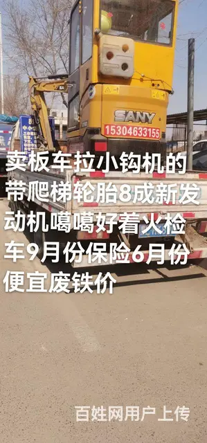 金杯 领骐 平板车 国3 - 图片 1
