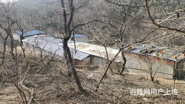 养牛场转让 - 图片 4