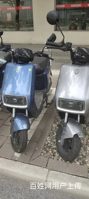 电动车  出租 出租免押金 - 图片