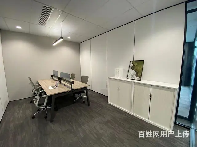 宝龙城商业体上盖，地铁口，地标建筑可定制，豪华装修，全面招商 - 图片 4