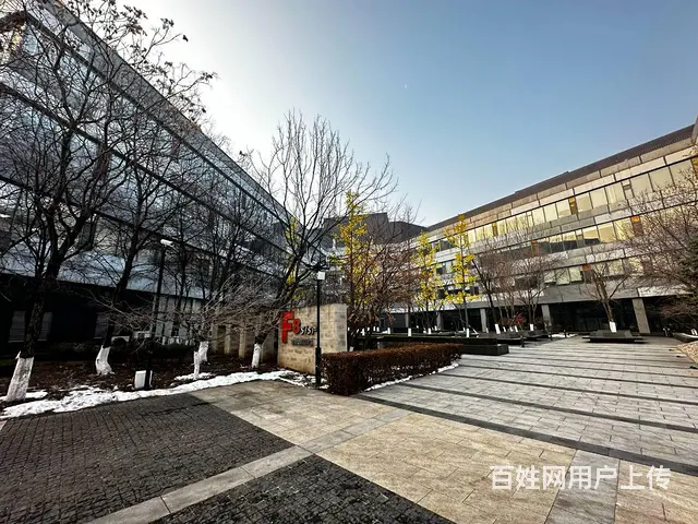 浑南366平办公室租赁丨4+1户型丨软件园办公室免费会议停车 - 图片 8