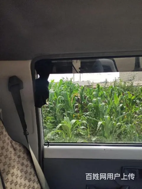 14年金杯平板货车，国四，金杯双排 - 图片 5